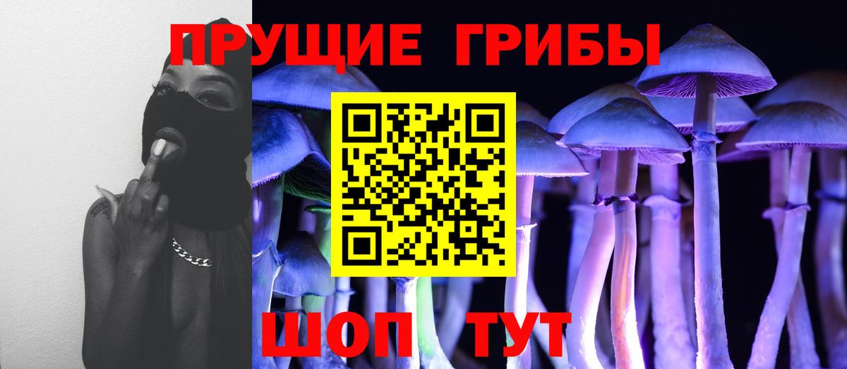 Галлюциногенные грибы GOLDEN TEACHER Кимры